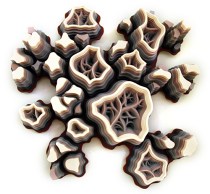 PATIFLASMIC FLAMUNGAL GESTATION MOVEMENT #2 | Height: 26.0" x Width: 28.0" x Depth:7.0"|Acrylic and hand cut paper on panel